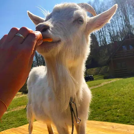 Mana Village - Jacuzzi & Sauna *