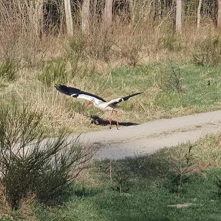 Mana Village - Jacuzzi & Sauna *