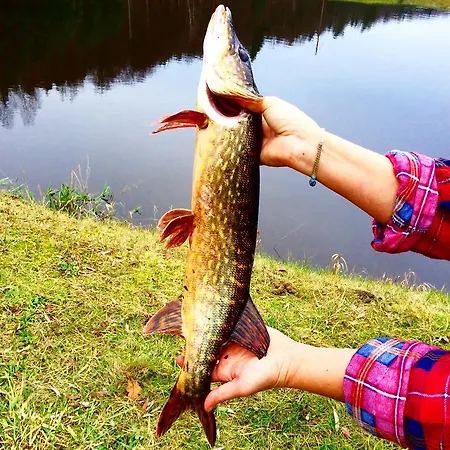 Mana Village - Jacuzzi & Sauna Feriegård