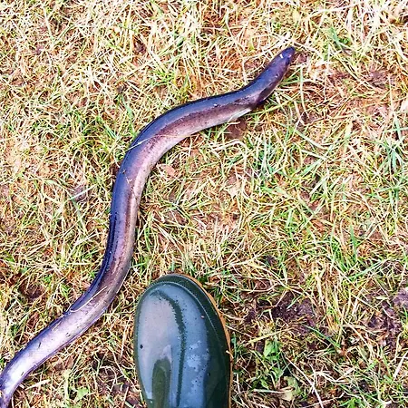 Mana Village - Jacuzzi & Sauna