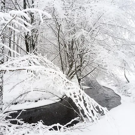 Mana Village - Jacuzzi & Sauna Feriegård Barłomino