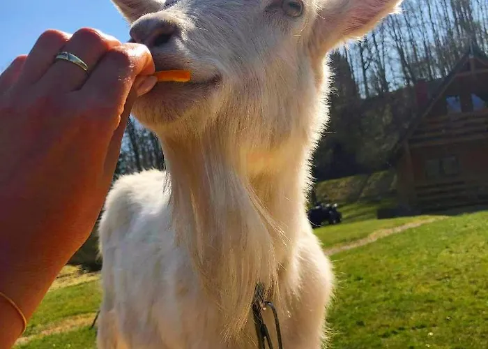 Mana Village - Jacuzzi & Sauna *