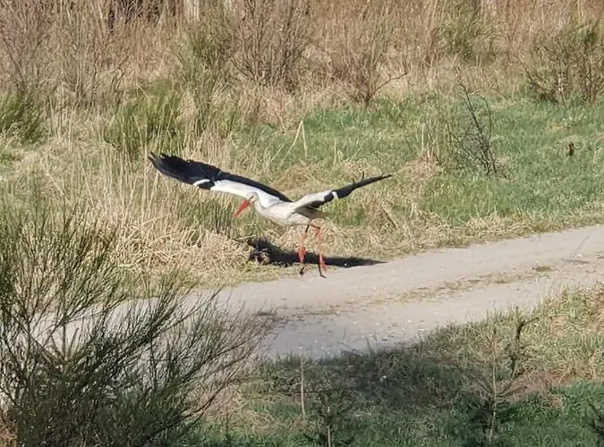 Mana Village - Jacuzzi & Sauna *