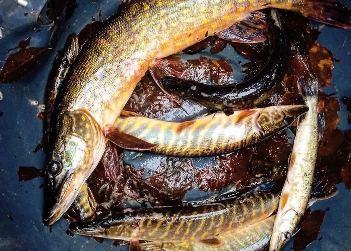 Farm stay Mana Village - Jacuzzi & Sauna Barlomino