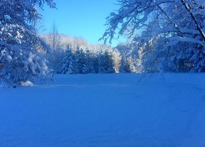 Mana Village - Jacuzzi & Sauna Farm stay *