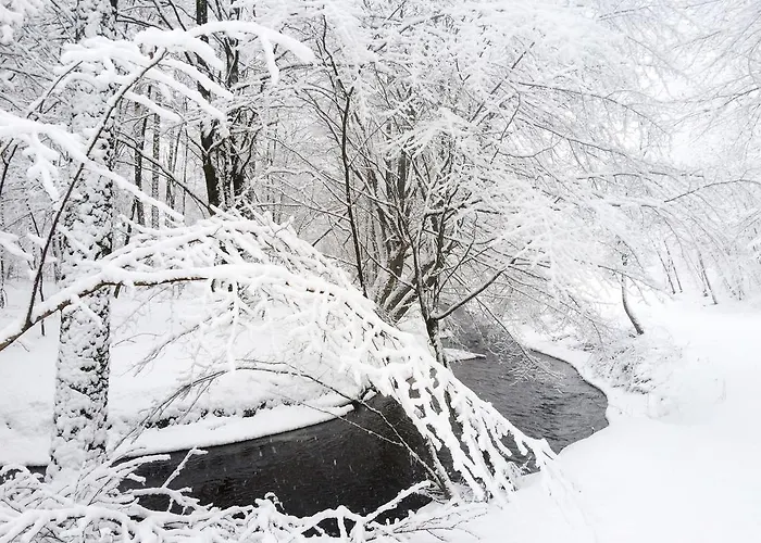 Mana Village - Jacuzzi & Sauna Farm stay Barlomino